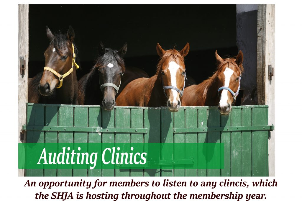 SHJA Auditing Clinics